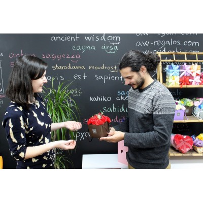 TENAZAS PARA ARMADORES 300x48x24mm 9900300EAN KNIPEX