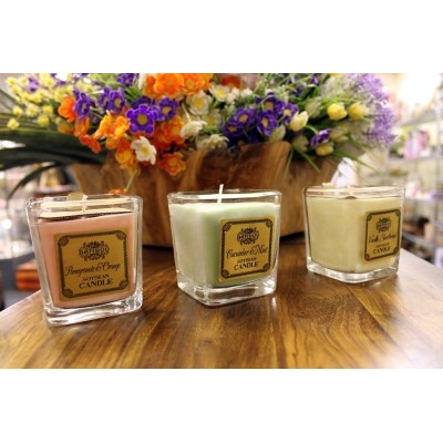 BEISSIER CEMENTO COLA EXTRA 2kg 70164-001